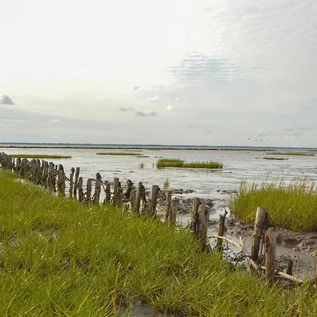 Prázdninový dům Amazing In With 1 Bedroom And Wifi *